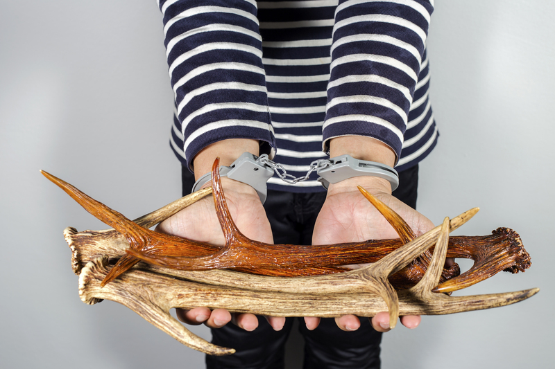 waste disposal household